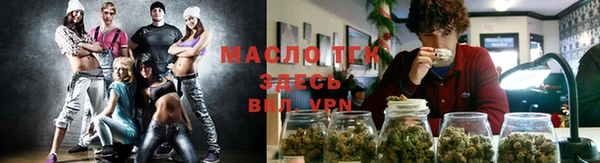 дмт Дмитриев