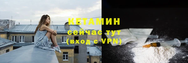 дмт Дмитриев