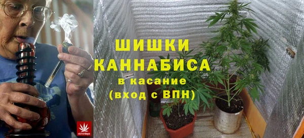 дмт Дмитриев