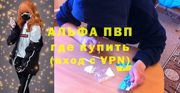 дмт Дмитриев