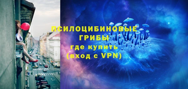 кокс Дмитров