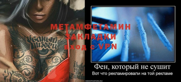 сатива Елабуга