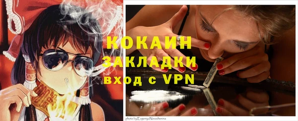 кокс Дмитров