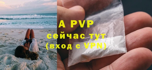 дмт Дмитриев