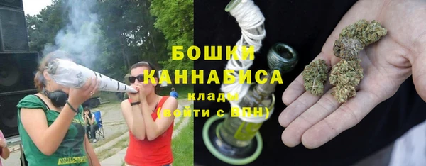 дмт Дмитриев