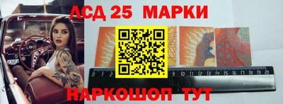 гашик Кандалакша