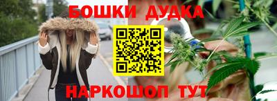 гашик Кандалакша