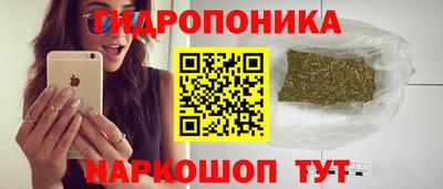 гашик Кандалакша