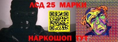 гашик Кандалакша